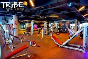 TribeFit-1