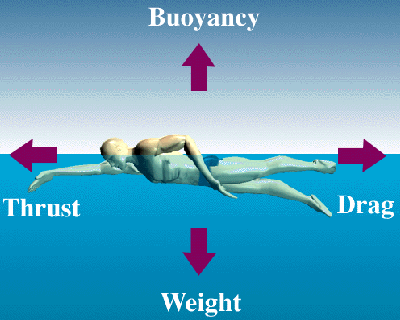 how to learn swimming easily