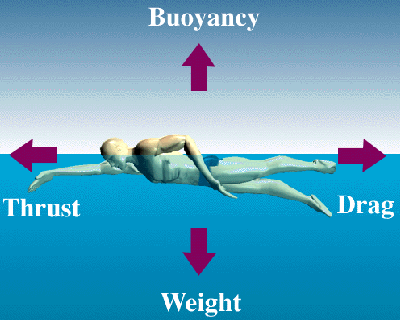 swimming techniques