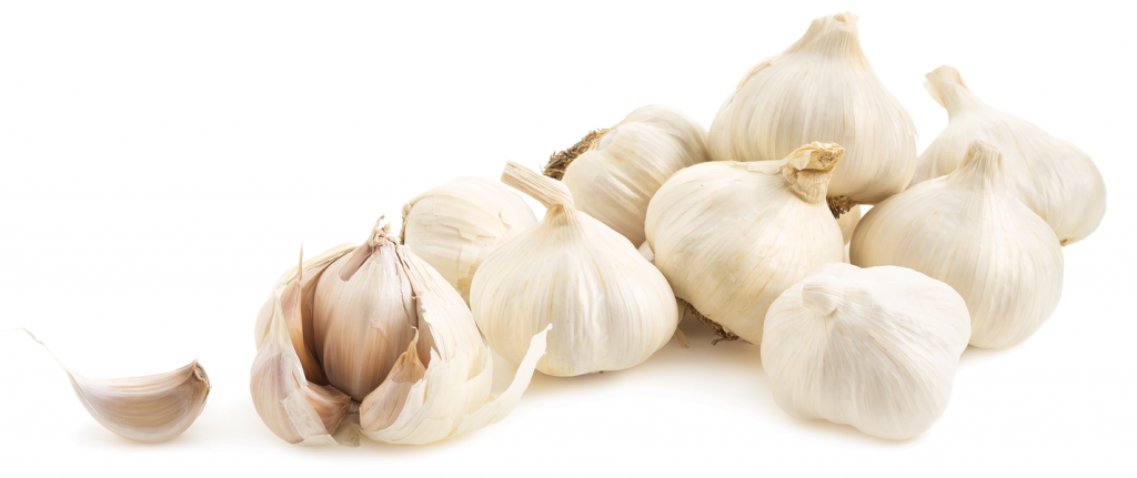 Garlic 