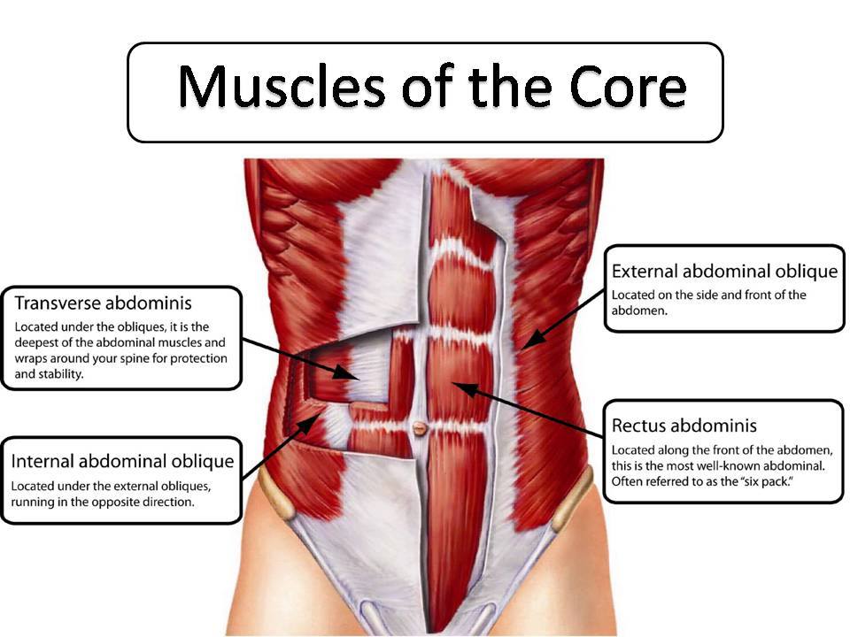 Abdominal Vacuum Muscle Control 