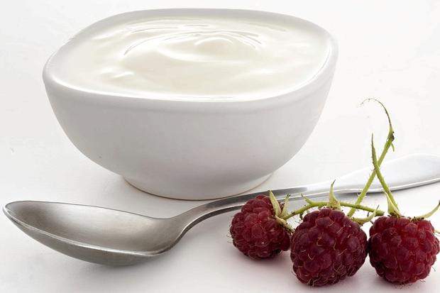 yoghurt