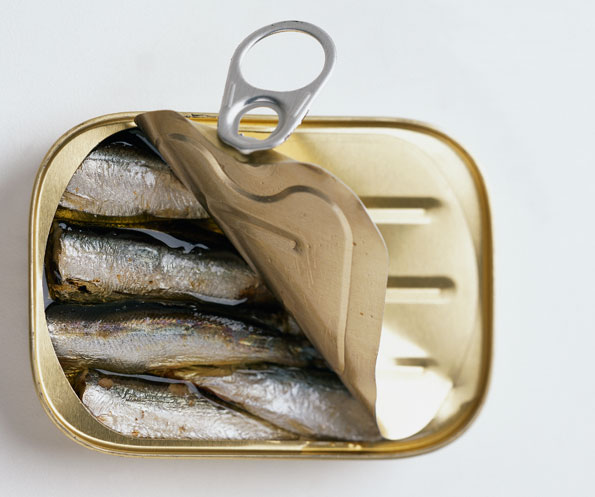 Sardine