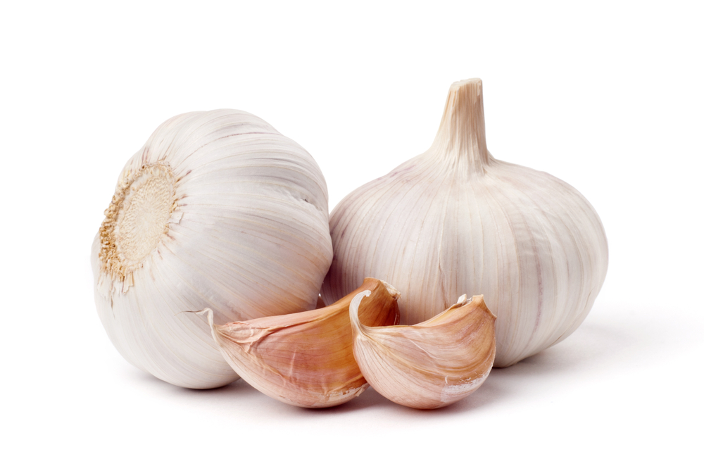 garlic