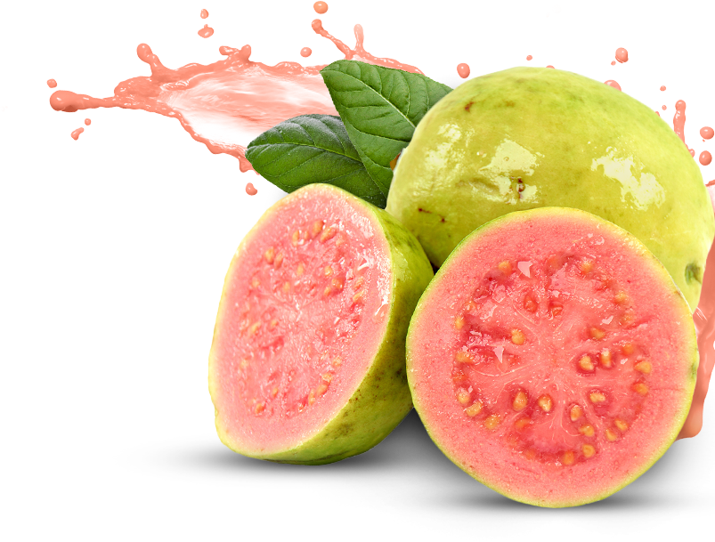 guava