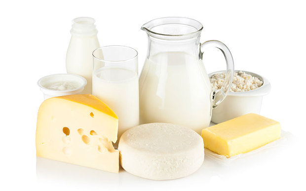 dairy products