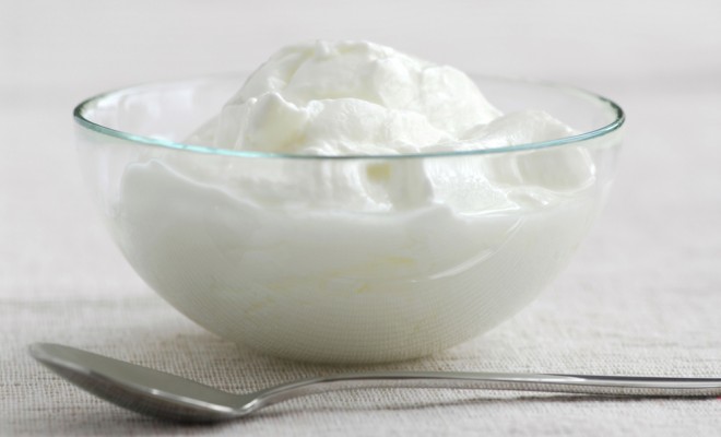 low fat yogurt