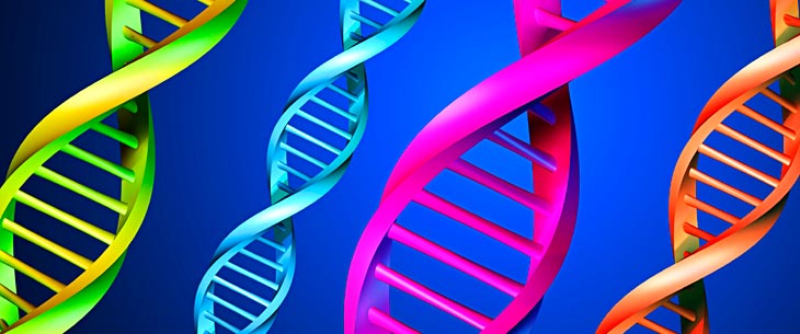 Genetics