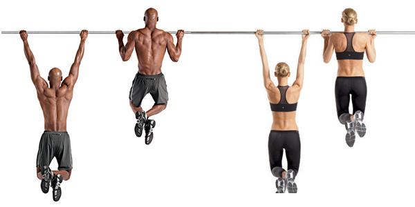 pull ups and chin ups