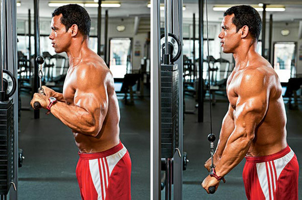 Tricep Pulldown