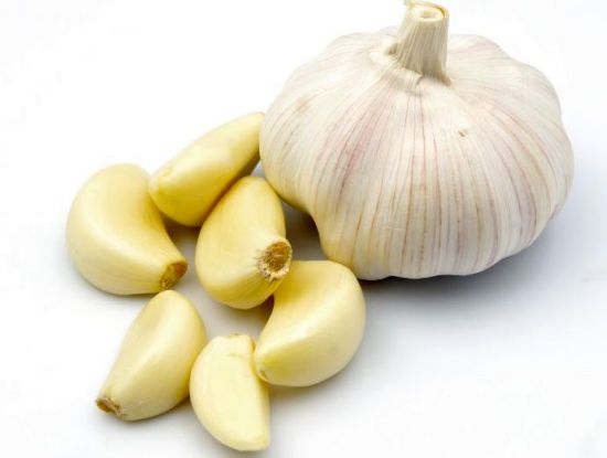 garlic