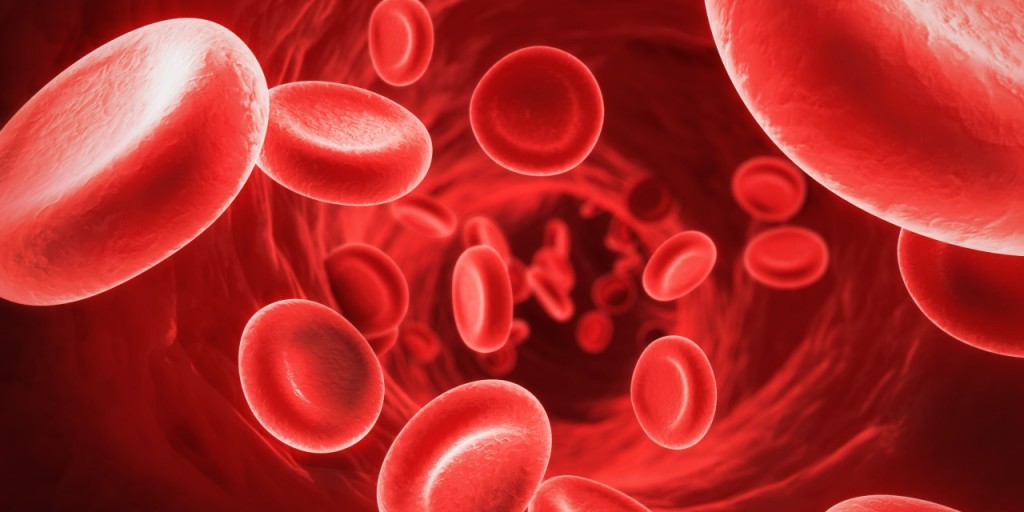 Essential for Red Blood Cell Production: