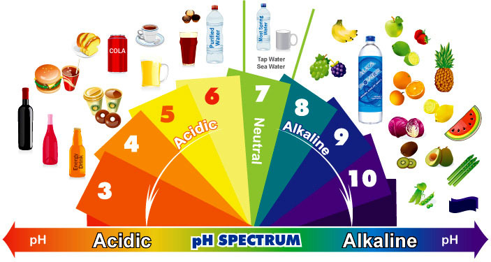 Alkaline diet