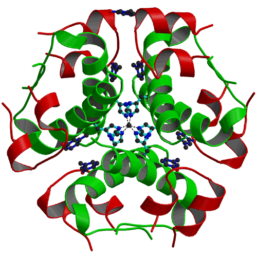 insulin