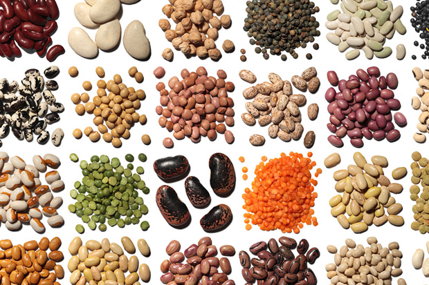 Beans and legumes