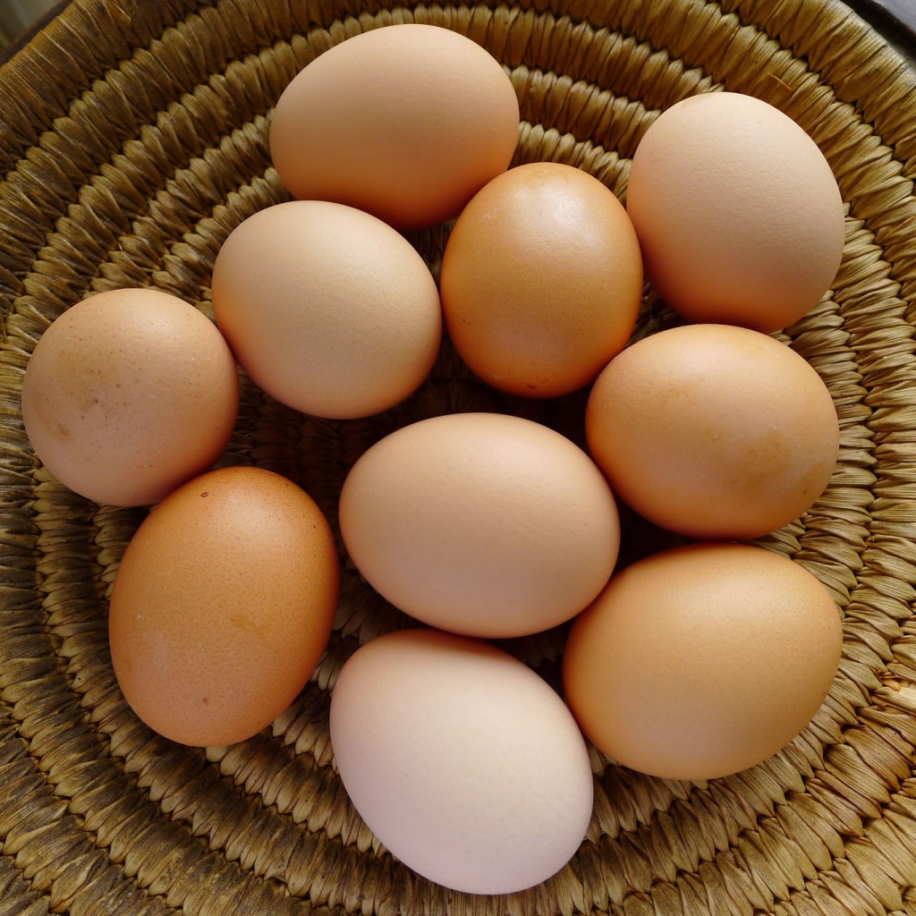 ORGANIC EGGS