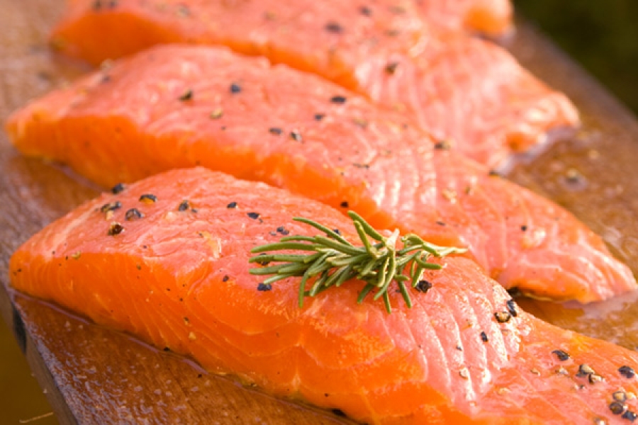 salmon