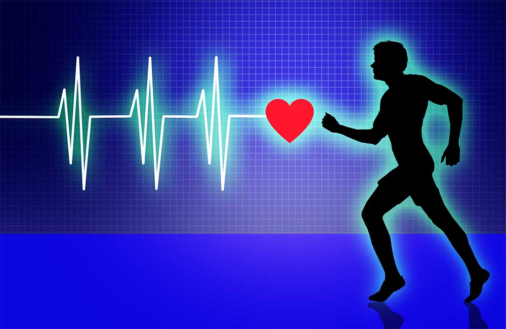 Cardiovascular Endurance