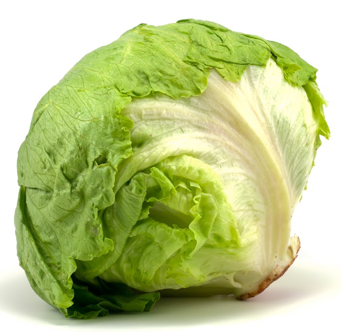 iceberg lettuce