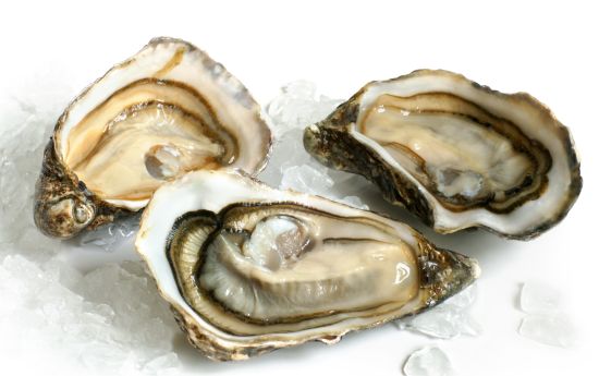 oysters