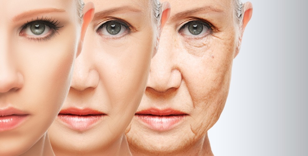 Anti-ageing