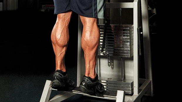 Calf Raise