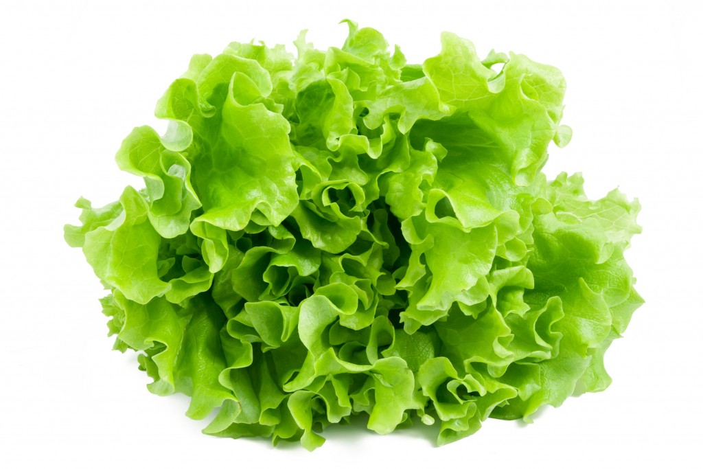 Lettuce