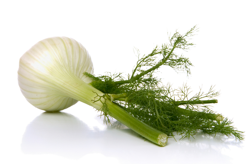 fennel