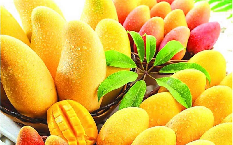 Mango