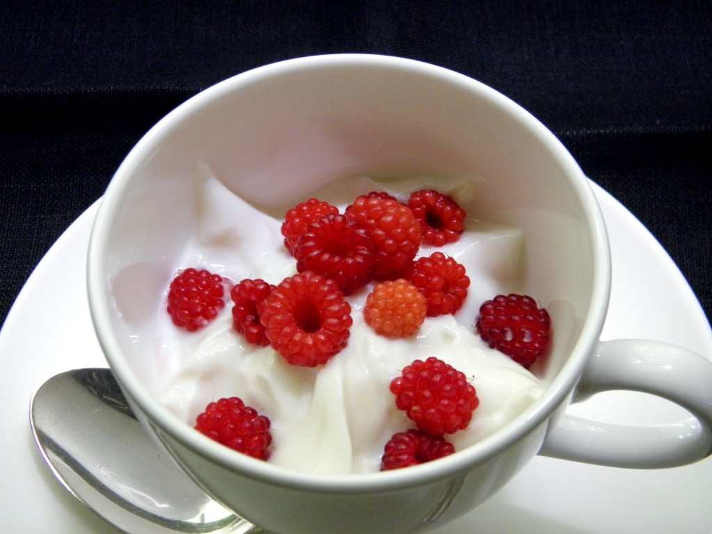 yogurt