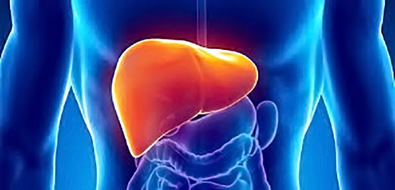 liver healthy