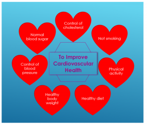 Cardiovascular Health 1