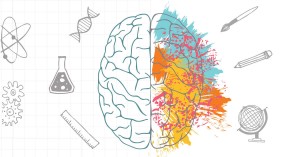 both sides of brain