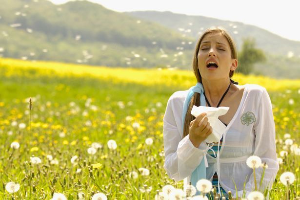 Health : UAE Allergy Season