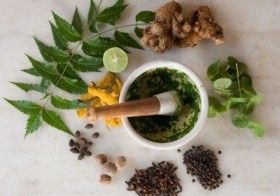 Did You Know About These Natural Herbs to Heal Scars?