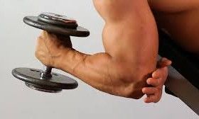 Fitness : Hammer Curls & Barbell Curls