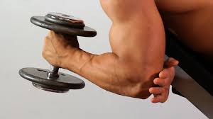 Fitness : Hammer Curls & Barbell Curls