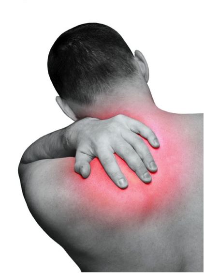 What Core Exercises Won’t Hurt My Back Or Neck?