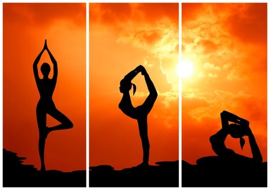 Essential Yoga Poses Everyone Should Practice