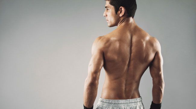 8 Exercises To Develop Your Back Muscles