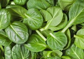 5 Reasons You Should Eat More Spinach