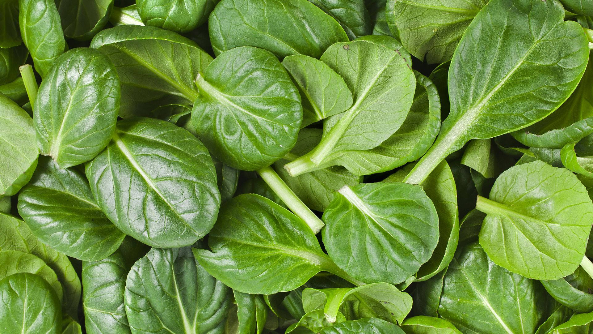 5 Reasons You Should Eat More Spinach