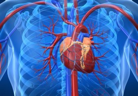 6 Causes Of Enlarged Heart
