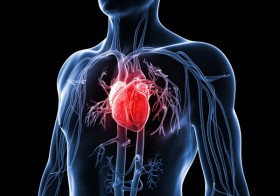 5 Common Misconceptions About Heart Disease
