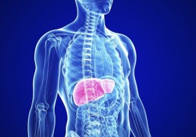 4 Liver-Toxic Foods To Know About