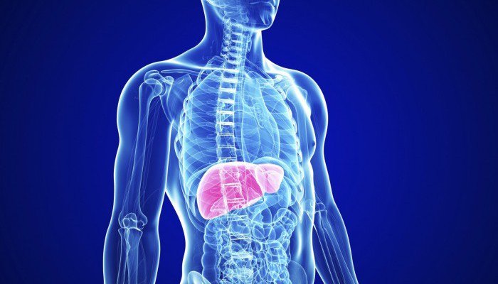4 Liver-Toxic Foods To Know About