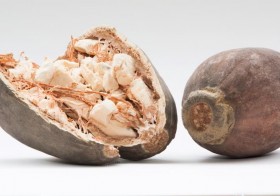 4 Health Benefits of Baobab You didn’t know.