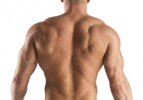 5 Tips on Building Back Muscles