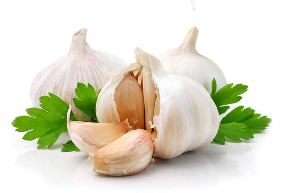 8 Health Benefits of Garlic You Should Know
