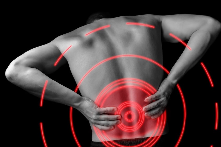 3 of The Best Lower Back Exercises